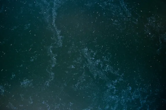 Tournaverse Casino Podrška